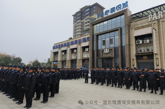 獵鷹保安|護(hù)航“夢之藍(lán)M6+襄陽群星演唱會”